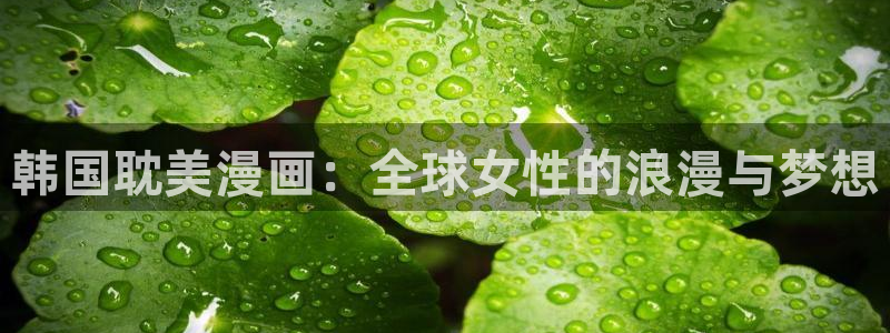 女神漫画官网在线观看：韩国耽美漫画：全球女性的浪漫与梦想